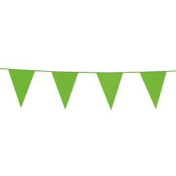 Vlaggenlijn Licht Groen 10 meter