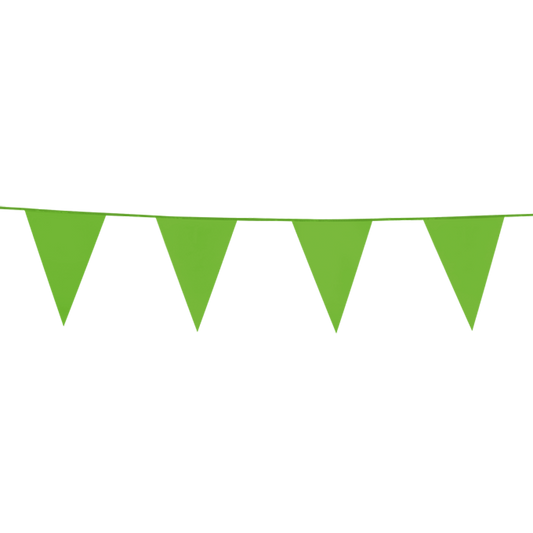 Vlaggenlijn Licht Groen 10m