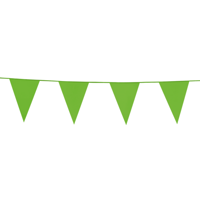 Vlaggenlijn Licht Groen 10 meter
