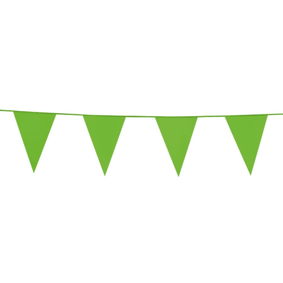 Vlaggenlijn Licht Groen 10m
