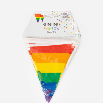 Mini Vlaggenlijn regenboog 3 meter