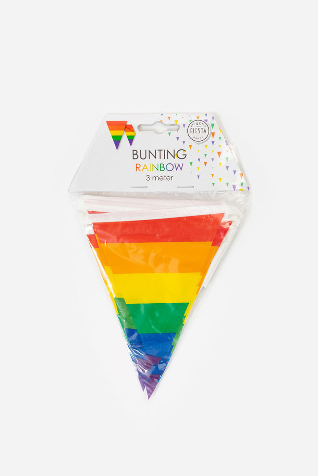 Mini Vlaggenlijn regenboog 3 meter