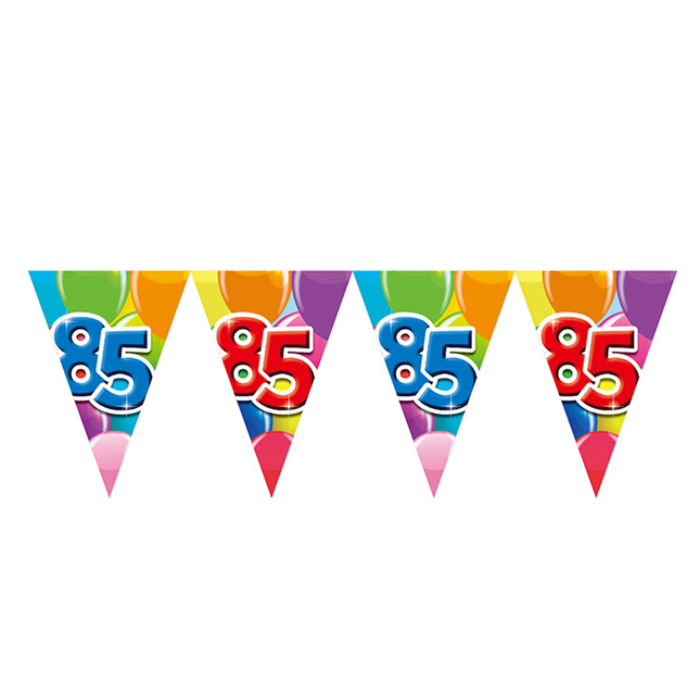 Gekleurde Vlaggenlijn 85 Jaar – 10 Meter (Dubbelzijdig Bedrukt)