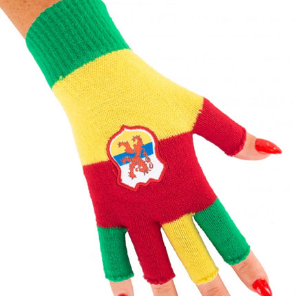 Vingerloze handschoenen rood/geel/groen met wapen Limburg
