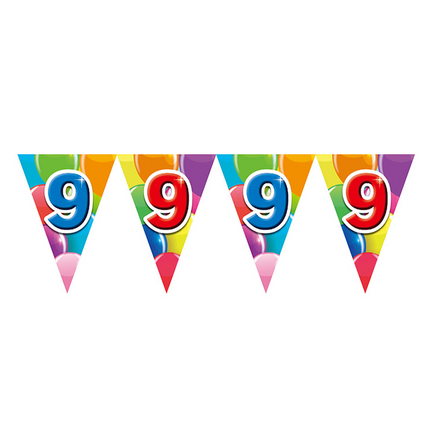 Gekleurde Vlaggenlijn 9 Jaar – 10 Meter (Dubbelzijdig Bedrukt)