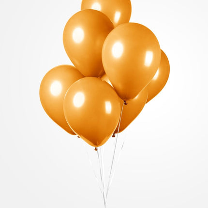 25 Ballonnen 12″ Oranje
